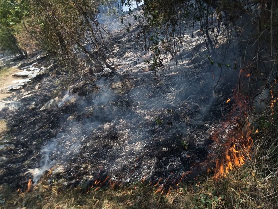 Incendio sul Canto Basso sopra Nese: in fumo tre ettari di bosco - Foto