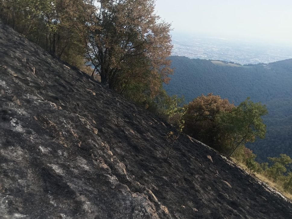 Incendio sul Canto Basso sopra Nese: in fumo tre ettari di bosco - Foto