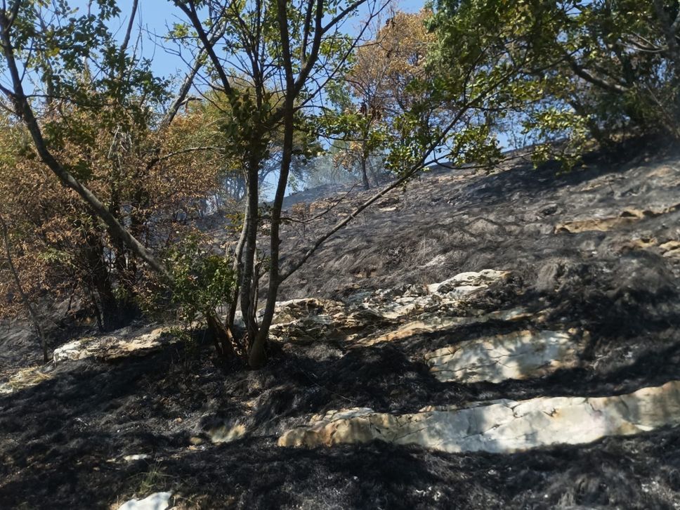 Incendio sul Canto Basso sopra Nese: in fumo tre ettari di bosco - Foto
