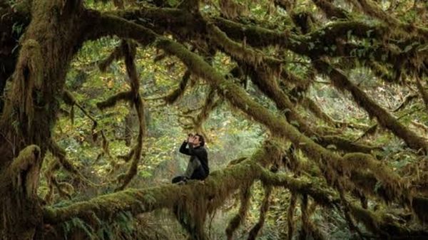 Un Grande Sentiero di cinema e libri