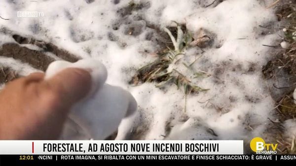 BERGAMO TG ORE12
