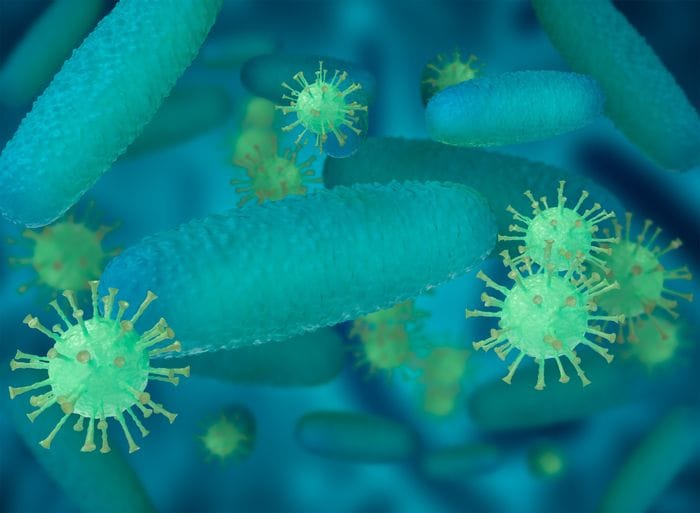 C'è un legame tra microbiota intestinale e salute dei muscoli