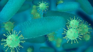 C'è un legame tra microbiota intestinale e salute dei muscoli