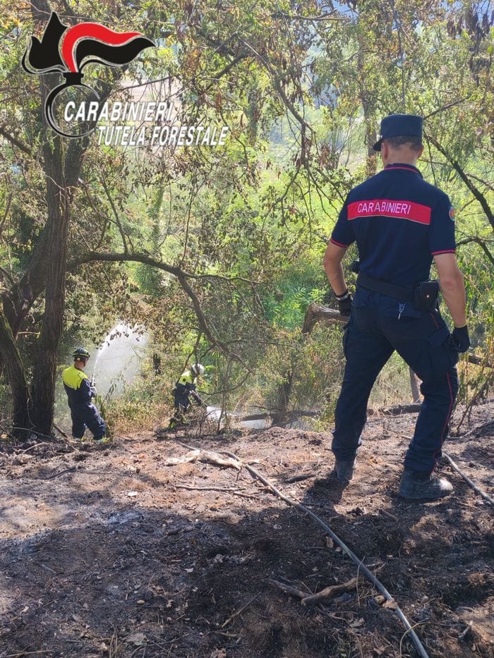 Nove incendi boschivi da inizio mese, controlli  sui prelievi di acqua: l’attività dei carabinieri forestali 