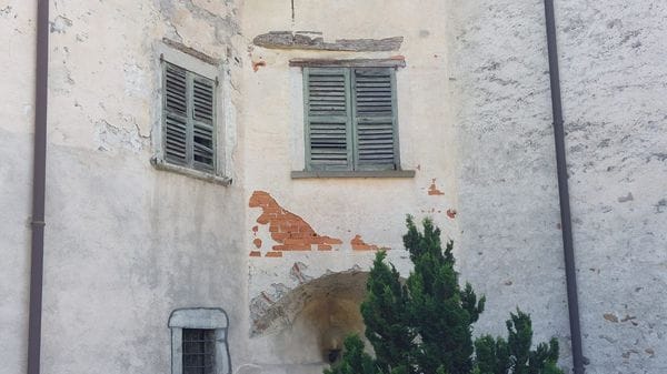 Avvistato Dino