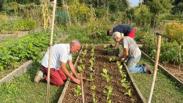 L’Orto botanico cerca i «custodi dei semi» delle varietà antiche