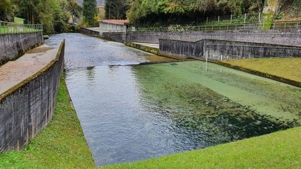 La sfida è distribuire e gestire una risorsa sempre più variabile