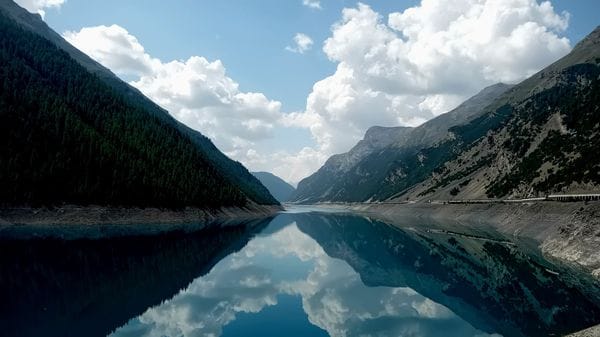 Riflessi