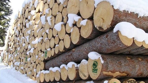 Aiel e Uncem, 'incentivi anche per le caldaie a legna e pellet'