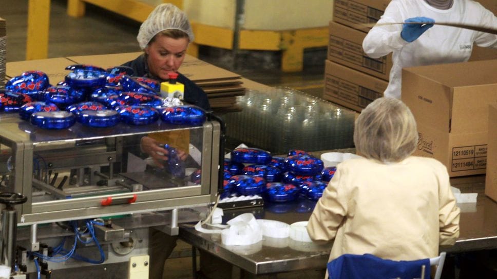 In Italia la vita lavorativa è di appena 33 anni, ai minimi nell’Ue