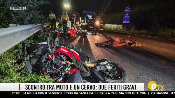 BERGAMO TG ORE12