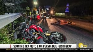 BERGAMO TG ORE12