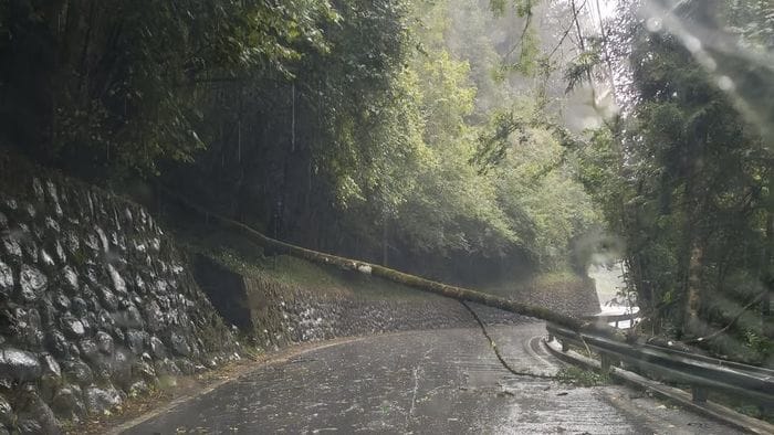 https://storage.ecodibergamo.it/media/photologue/2026/8/2/photos/cache/il-vento-fa-danni-nella-valli-sul-lago-onde-e-soccorsi-ma-il-caldo-per-ora-res_ddc3ce96-8e90-11f1-becc-c995854bca90_1920_1080_v3_large_16_9.jpeg