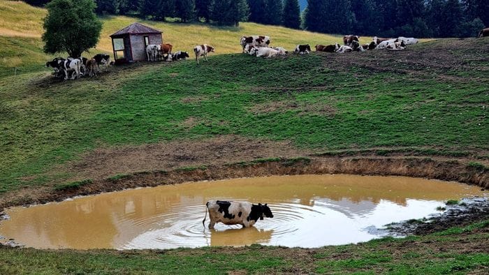 Un bagno rinfrescante