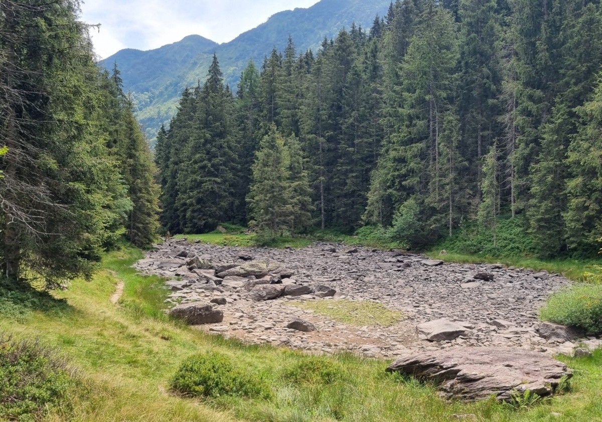 La bellezza della Val Sanguigno, scrigno inossidabile di biodiversità
