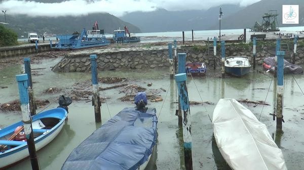Legname trasportato dall'Oglio nel lago d'Iseo