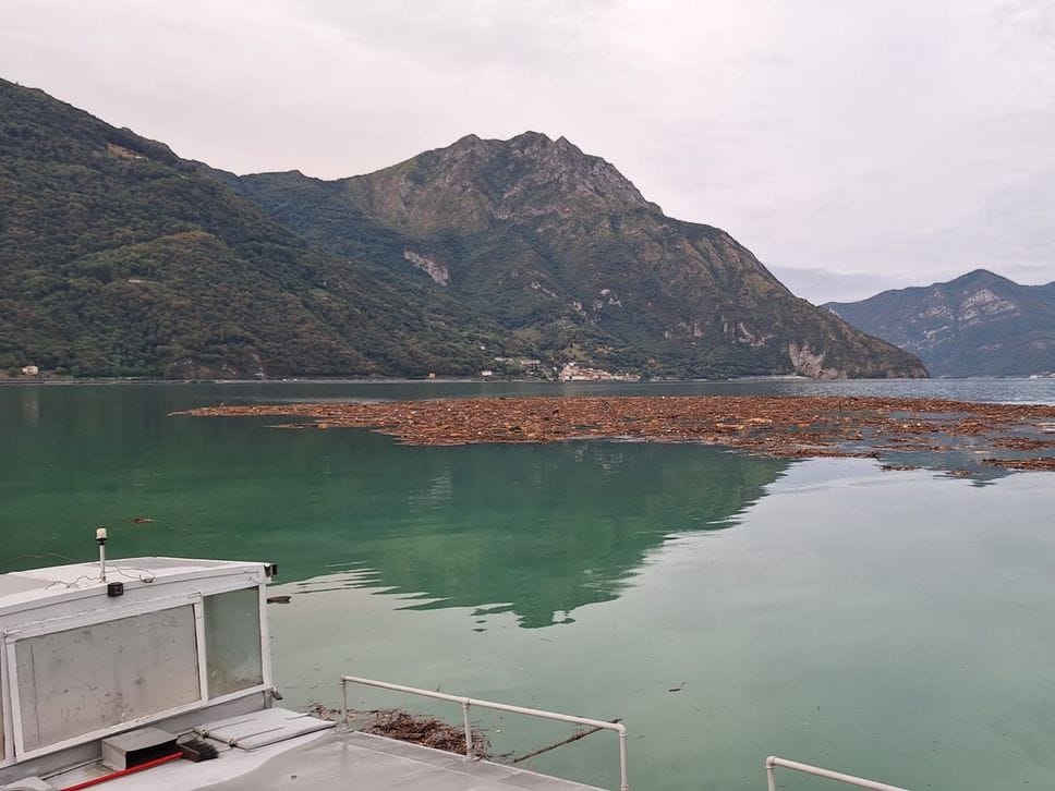 Maltempo in Valle Camonica, piena dell’Oglio verso il lago d’Iseo
