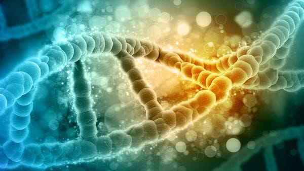 Diagnosi più precise da una nuova tecnica per leggere il Dna 