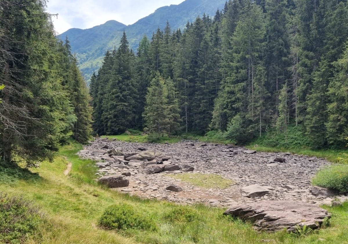 La bellezza della Val Sanguigno, scrigno inossidabile di biodiversità