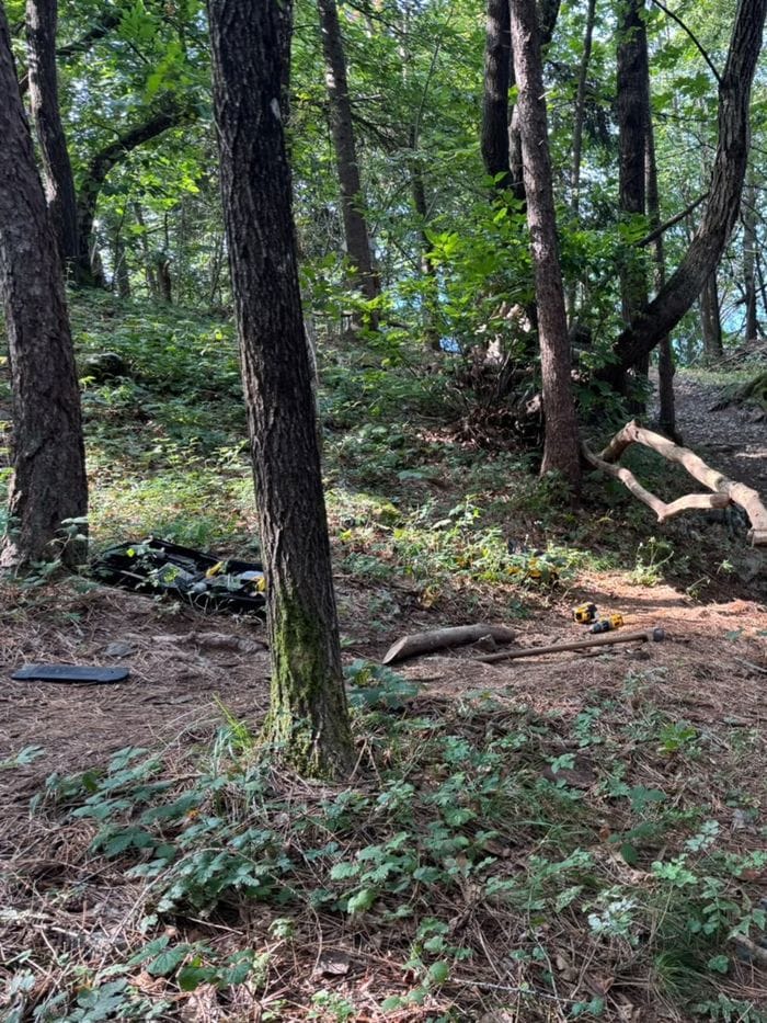 Clusone, chiude il «Bosco incantato»: «Troppa maleducazione e danni alle sculture»