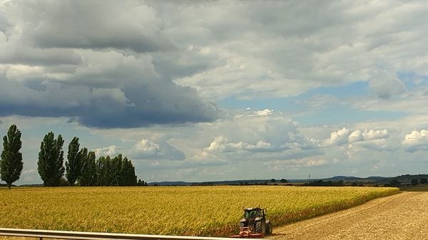 «Geometrie di campagna...»