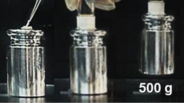 Pronta una supercolla riutilizzabile che resiste sott'acqua per anni