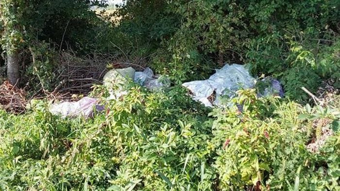 https://storage.ecodibergamo.it/media/photologue/2026/8/25/photos/cache/abbandonano-rifiuti-in-un-campo-a-masano-scoperti-4500-euro-di-multa_47136d64-a09f-11f1-88e8-4f17ea2fa187_1920_1080_v3_large_16_9.jpg