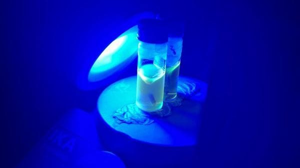 La molecola che rinasce e cambia struttura durante una reazione  VIDEO