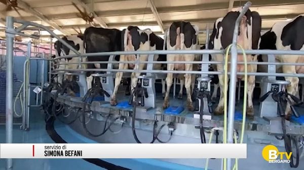 In un decennio in provincia di Bergamo le imprese agricole sono calate di quasi 200 unità.