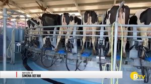 In un decennio in provincia di Bergamo le imprese agricole sono calate di quasi 200 unità.