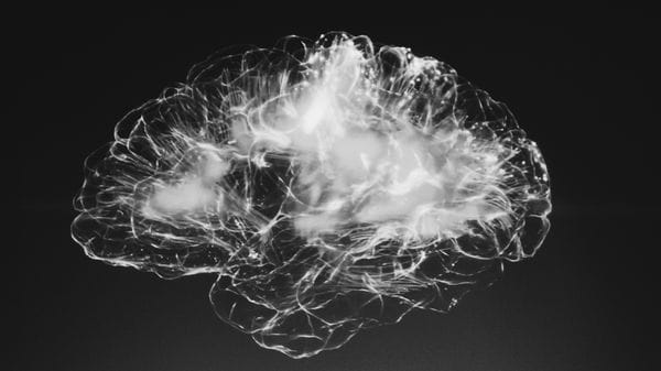 Il cervello si ripara meglio di quanto la scienza pensasse