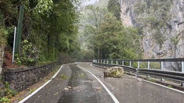 Maltempo, massi e alberi sulla provinciale tra Algua e Serina: strada chiusa - Foto
