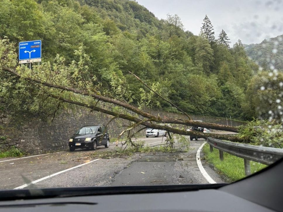 Maltempo, massi e alberi sulla provinciale tra Algua e Serina: strada chiusa - Foto