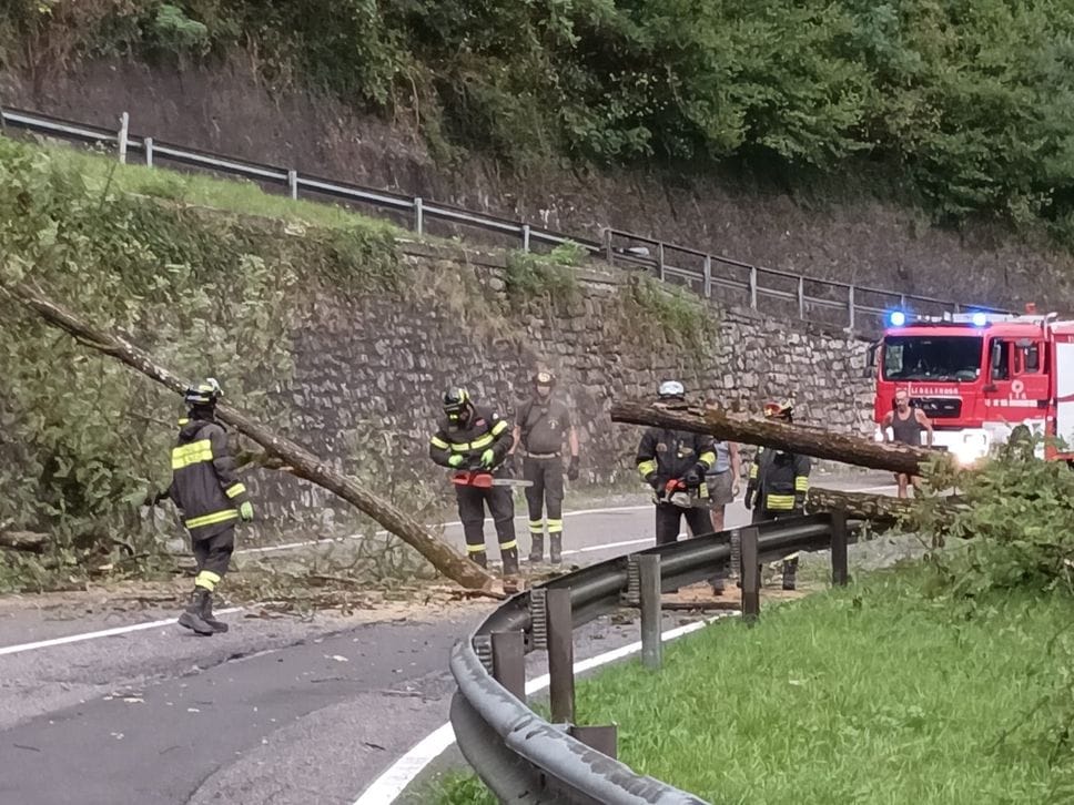 Maltempo, massi e alberi sulla provinciale tra Algua e Serina: strada chiusa - Foto