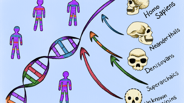 Nel Dna umano ci sono tracce di antenati fantasma 