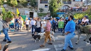 Festa della Montagna ai Colli di San Fermo: in tremila tra trattori e tradizioni - Foto