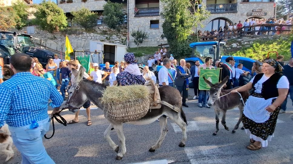 Festa della Montagna ai Colli di San Fermo: in tremila tra trattori e tradizioni - Foto