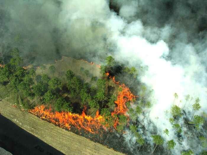 Pronto l'atlante del rischio incendi in sei parchi nazionali