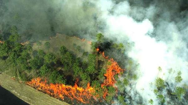Pronto l'atlante del rischio incendi in sei parchi nazionali