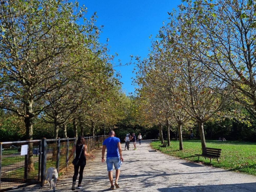 Alberi provati dal caldo a Bergamo. «Task force coi cittadini, bagnati senza sprechi»