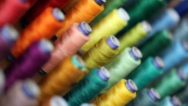 Batteri scoperti in Italia possibili biofabbriche di pigmenti per la moda sostenibile