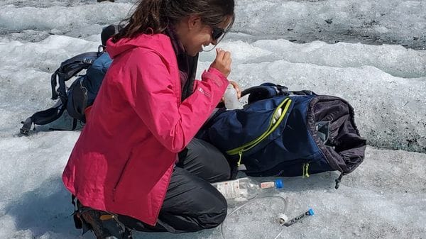 La scienziata bergamasca che studia le pulci dei ghiacciai: «spie» del loro futuro
