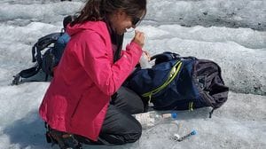 La scienziata bergamasca che studia le pulci dei ghiacciai: «spie» del loro futuro