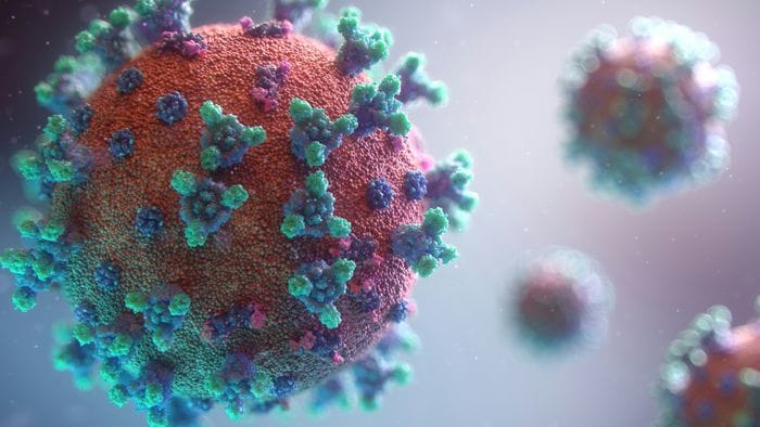 https://storage.ecodibergamo.it/media/photologue/2026/8/4/photos/cache/sinciziale-1800-decessi-lanno-estendere-la-vaccinazione_bcbf6896-8e80-11f1-becc-c995854bca90_1920_1080_v3_large_16_9.jpg
