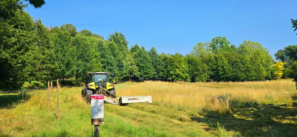Bergamo, il fieno dei prati urbani diventa una risorsa agricola