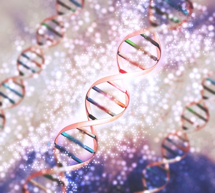 Da mappe 3D del Dna emergono nuovi geni legati alle malattie autoimmuni  
