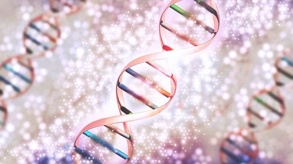Da mappe 3D del Dna emergono nuovi geni legati alle malattie autoimmuni  