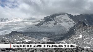 Ghiacciaio dell'Adamello, l'agonia non si arresta, arretrato di altri 265 metri nel triennio 2023-2025