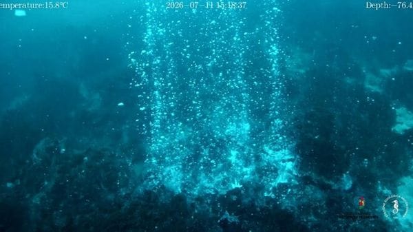 Nuovi camini idrotermali e un grande cratere sottomarino al largo di Panarea