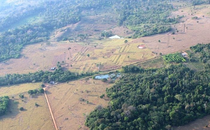 Trovate in Amazzonia oltre 400 antiche strutture precolombiane